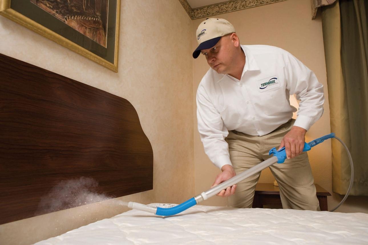 Commercial pest control treatment in an office space