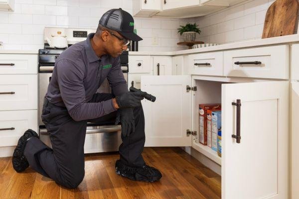 Termite control and prevention service at a property