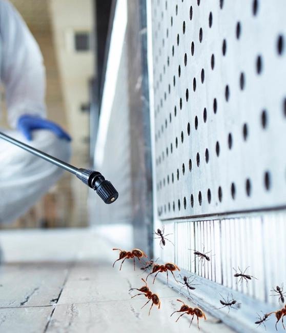 Ultima Pest Control team completing a treatment job