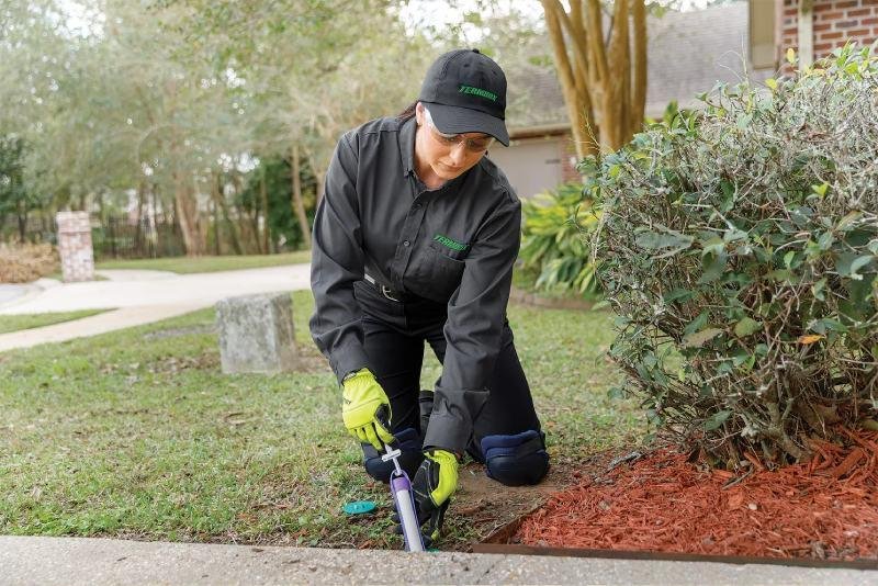 Ant control service around an entry point