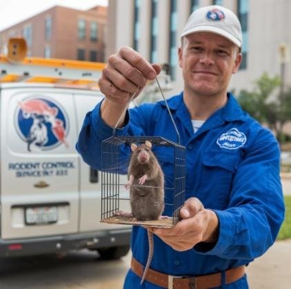 Rodent control treatment at a commercial space