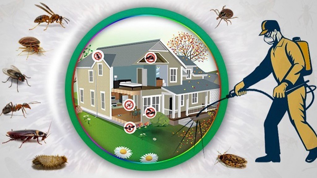 General pest control service